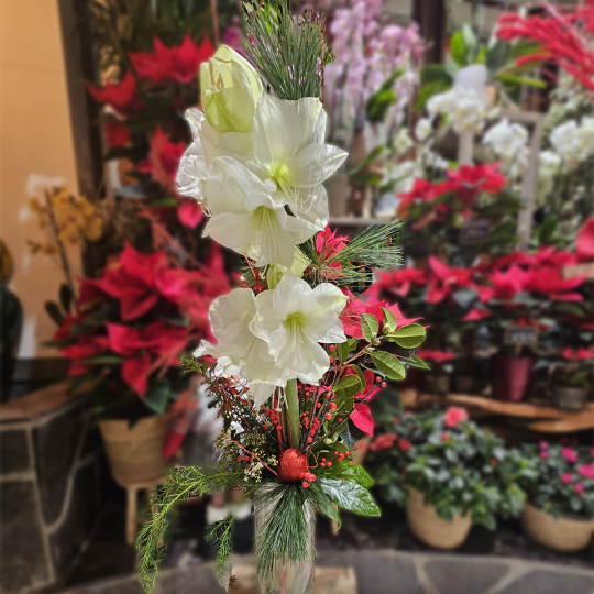 Grand bouquet de Noël